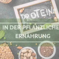 Bilder von Hülsenfrüchten, Nüssen und Samen, die "Proteine in der pflanzlichen Ernährung" hervorheben. Eine köstliche, high protein vegetarisch Mahlzeit ist leicht zu gestalten.