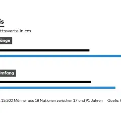 Grafik zeigt Durchschnittswerte für Länge und Umfang des Penis. Ein kleiner steifer Penis hat im Durchschnitt eine Länge von 13,2 cm.