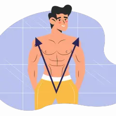 Ein Mann mit V-Form Torso und gelber Hose. Pfeile zeigen auf seine Schultern und Taille, um die V-Form zu betonen.