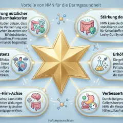 NMN wirkt sich positiv auf die Darmgesundheit aus: fördert nützliche Bakterien, stärkt die Darmbarriere, erhöht SCFA-Produktion, verbessert Verdauung, fördert Stressresistenz und unterstützt die Darm-Hirn-Achse.