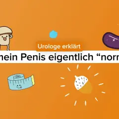 Urologe erklärt: Ist mein Penis eigentlich "normal"? Lustige Gemüsefiguren, ein Maßband und ein Kondom mit Donut.