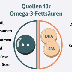 Quellen für Omega-3-Fettsäuren: Rapsöl, Hanfsamen, Chiasamen, Leinöl, Walnüsse, Paranüsse, Algen, Fisch, Krebse, Krill. Wichtig für das omega 3 gehirn.