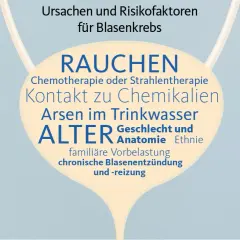 Risikofaktoren für Blasenkrebs: Rauchen, Chemotherapie, Arsen im Trinkwasser, Alter, Geschlecht, familiäre Vorbelastung, chronische Blasenentzündung. Symptome können vielfältig sein.