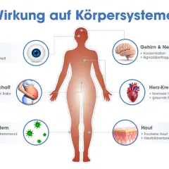 Omega 3 Wirkung: Grafik zeigt Einfluss auf Augen, Gehirn, Herz, Haut, Immunsystem und Schwangerschaft.