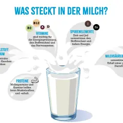 Milch enthält Mineralstoff Calcium, wichtig für Knochen & Zähne. Vitamine, Spurenelemente & Proteine sind ebenfalls enthalten.