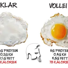 Vergleich: nur Eiweiß (16 Kalorien) vs. ganzes Ei (78 Kalorien). Wer will rohe Eier essen, wenn man das ganze Ei haben kann?