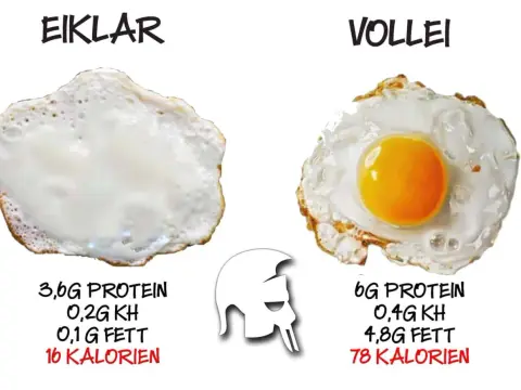 Rohe Eier essen - Risiko oder Vorteil? Die Wahrheit über Eier