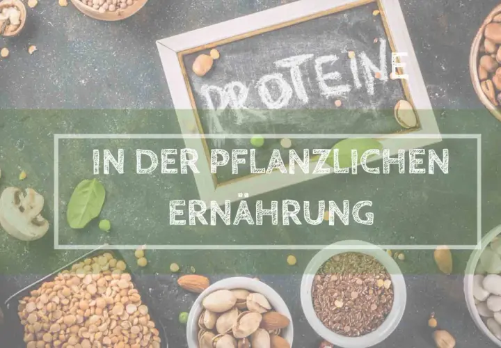 Bilder von Hülsenfrüchten, Nüssen und Samen, die "Proteine in der pflanzlichen Ernährung" hervorheben. Eine köstliche, high protein vegetarisch Mahlzeit ist leicht zu gestalten.