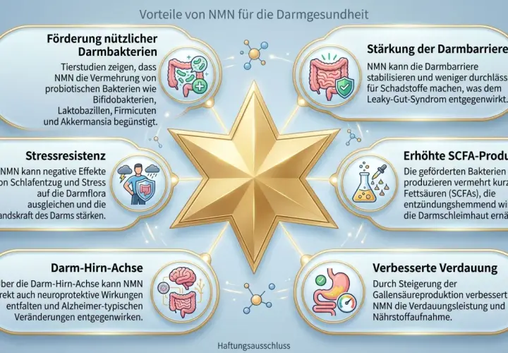 NMN wirkt sich positiv auf die Darmgesundheit aus: fördert nützliche Bakterien, stärkt die Darmbarriere, erhöht SCFA-Produktion, verbessert Verdauung, fördert Stressresistenz und unterstützt die Darm-Hirn-Achse.