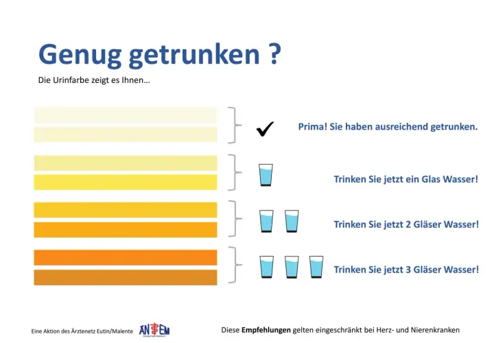 Die Urinfarbe zeigt, ob Sie genug getrunken haben. Helle Töne bedeuten, Sie sind gut hydriert. Dunklere Töne erfordern mehr Wasser.