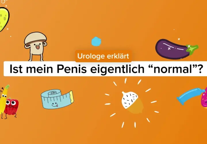 Urologe erklärt: Ist mein Penis eigentlich "normal"? Lustige Gemüsefiguren, ein Maßband und ein Kondom mit Donut.