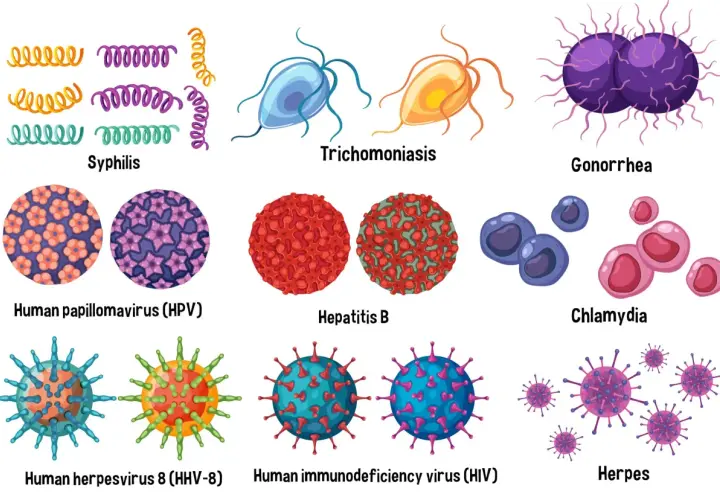 Abbildungen von Syphilis, Trichomoniasis, Gonorrhöe, HPV, Hepatitis B, Chlamydien, HHV-8, HIV und Herpes. Manche Geschlechtskrankheiten sind nicht heilbar.