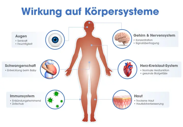 Omega 3 Wirkung: Grafik zeigt Einfluss auf Augen, Gehirn, Herz, Haut, Immunsystem und Schwangerschaft.