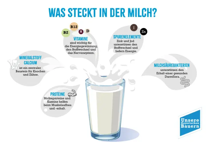 Milch enthält Mineralstoff Calcium, wichtig für Knochen & Zähne. Vitamine, Spurenelemente & Proteine sind ebenfalls enthalten.