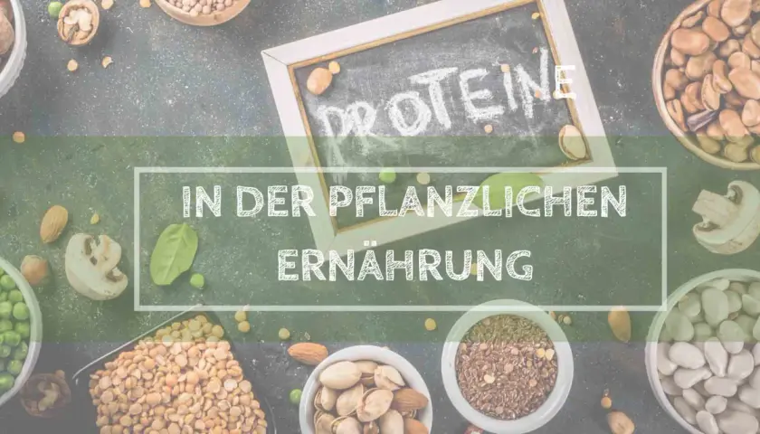 Bilder von Hülsenfrüchten, Nüssen und Samen, die "Proteine in der pflanzlichen Ernährung" hervorheben. Eine köstliche, high protein vegetarisch Mahlzeit ist leicht zu gestalten.