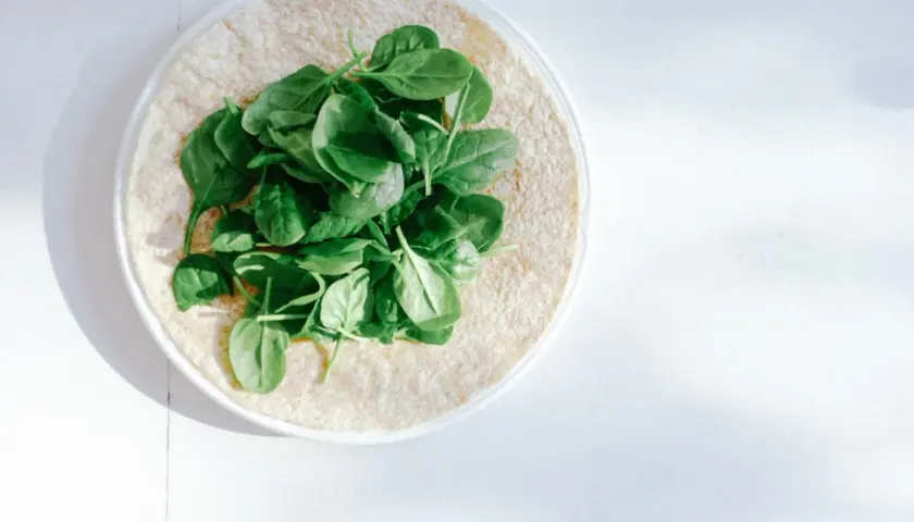 Frischer Spinat auf einem Tortilla-Wrap. Eine gesunde Mahlzeit, die viel Lutein liefert.