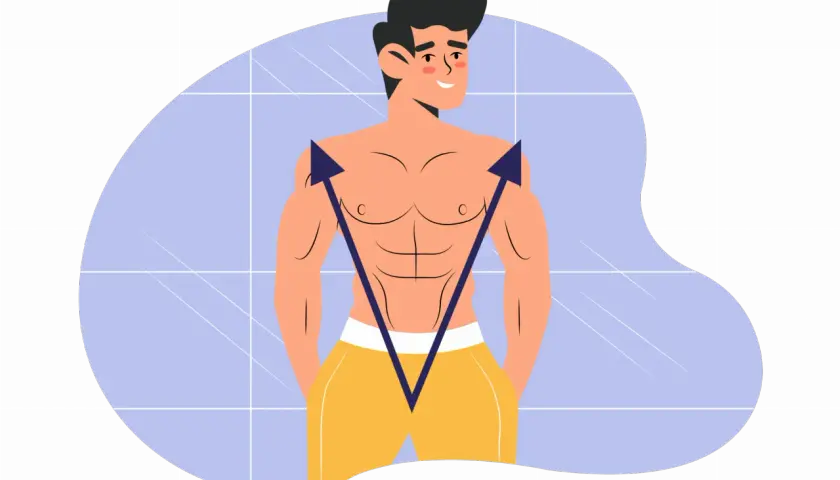 Ein Mann mit V-Form Torso und gelber Hose. Pfeile zeigen auf seine Schultern und Taille, um die V-Form zu betonen.