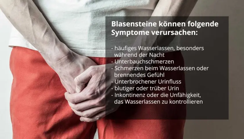 Mann mit Händen im Unterleib, Text listet Blasensteine Symptome auf: häufiges Wasserlassen, Schmerzen, blutiger Urin, Inkontinenz.