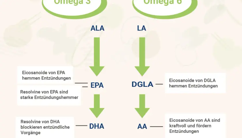 DHA ist ein wichtiger Baustein aus Omega-3-Fettsäuren, der entzündliche Prozesse blockiert.