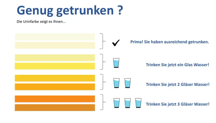Die Urinfarbe zeigt, ob Sie genug getrunken haben. Helle Töne bedeuten, Sie sind gut hydriert. Dunklere Töne erfordern mehr Wasser.