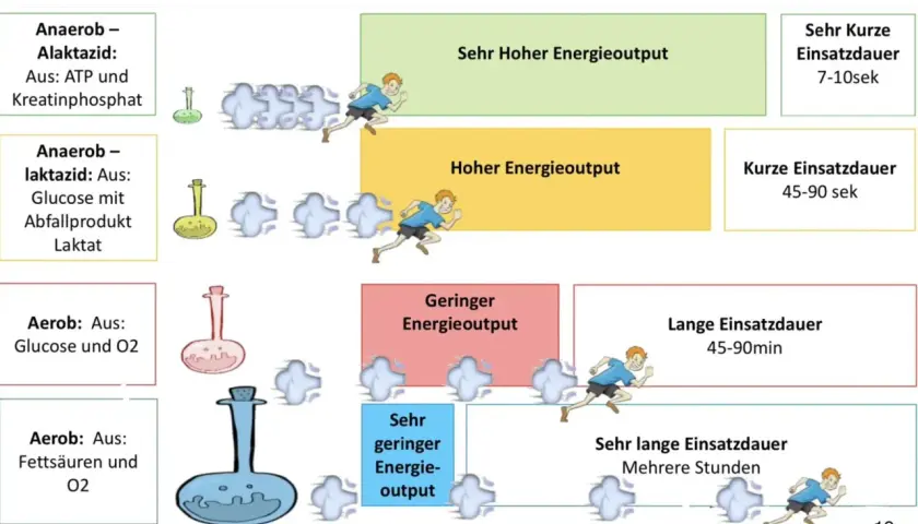 Vergleich von aerobem und anaerobem Stoffwechsel: Hoher Energieoutput kurz (anaerob), geringer Output lang (aerob).