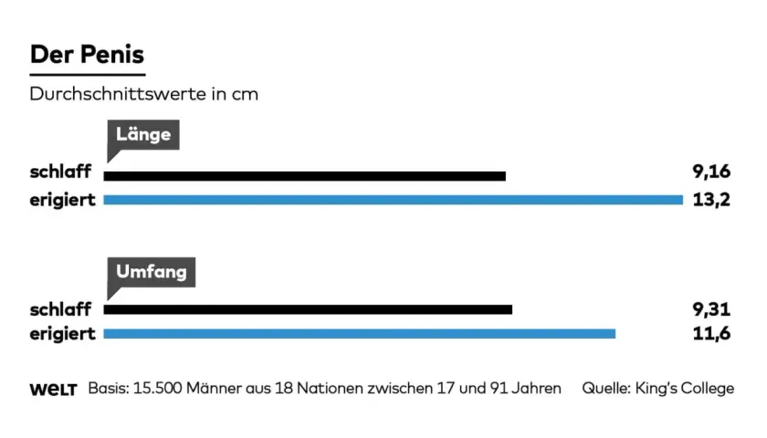 Durchschnittliche Penis-Länge: schlaff 9,16 cm, erigiert 13,2 cm. Umfang: schlaff 9,31 cm, erigiert 11,6 cm.