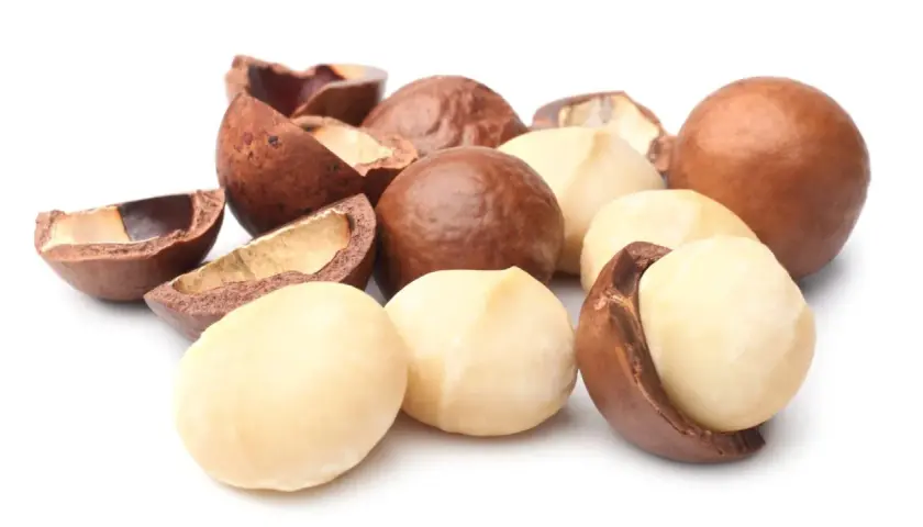 Macadamianüsse, frisch aus der Schale, sind ein Beweis dafür, wie macadamia gesund ist. Ihre cremige Textur und ihr nussiger Geschmack machen sie zu einem perfekten Snack.