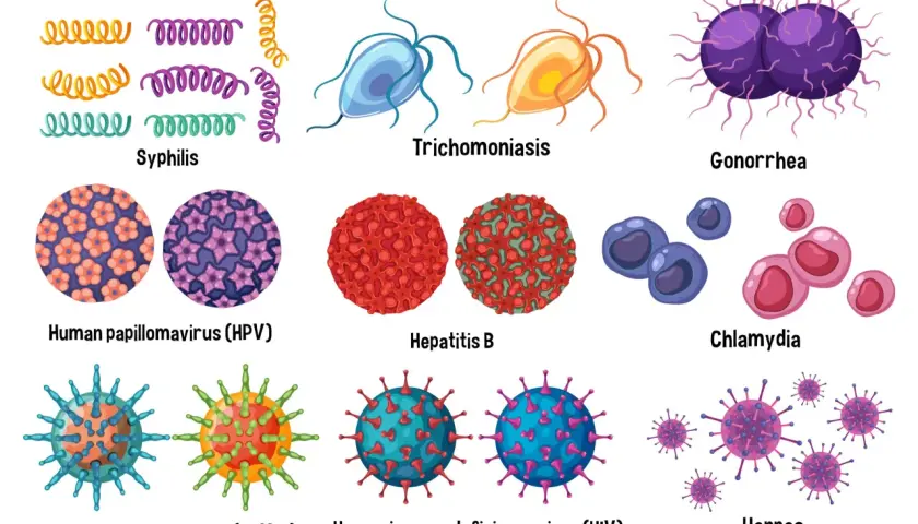Abbildungen von Syphilis, Trichomoniasis, Gonorrhöe, HPV, Hepatitis B, Chlamydien, HHV-8, HIV und Herpes. Manche Geschlechtskrankheiten sind nicht heilbar.