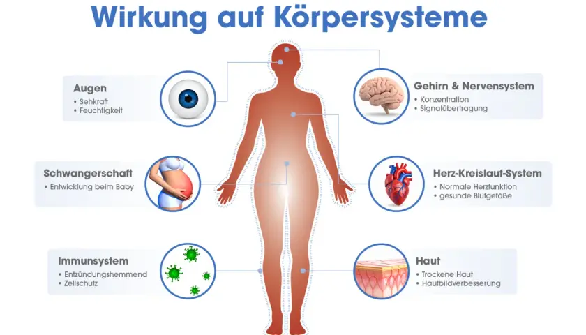 Omega 3 Wirkung: Grafik zeigt Einfluss auf Augen, Gehirn, Herz, Haut, Immunsystem und Schwangerschaft.