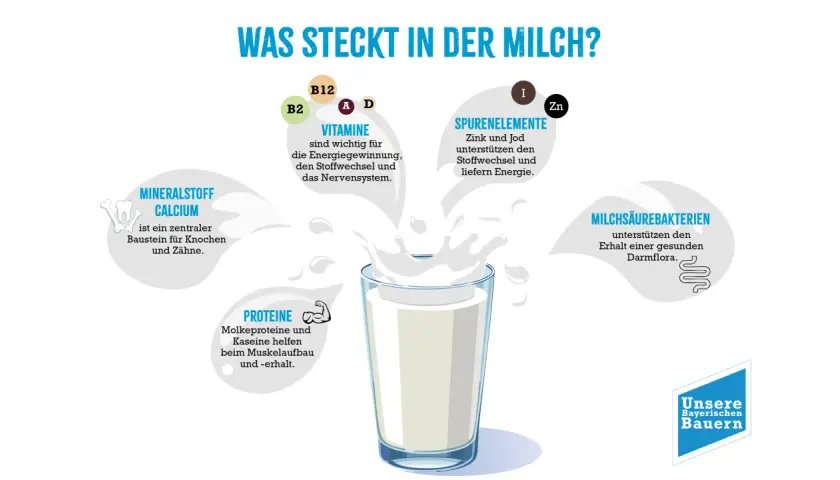 Milch enthält Mineralstoff Calcium, wichtig für Knochen & Zähne. Vitamine, Spurenelemente & Proteine sind ebenfalls enthalten.