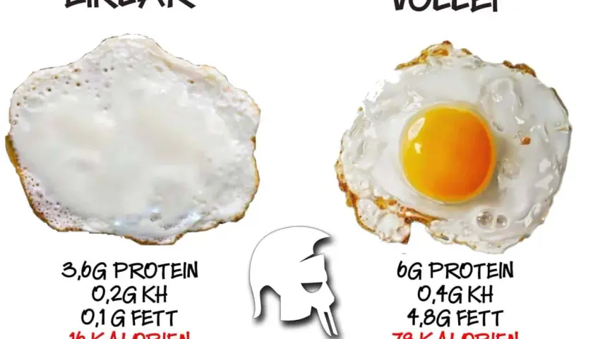 Vergleich: nur Eiweiß (16 Kalorien) vs. ganzes Ei (78 Kalorien). Wer will rohe Eier essen, wenn man das ganze Ei haben kann?