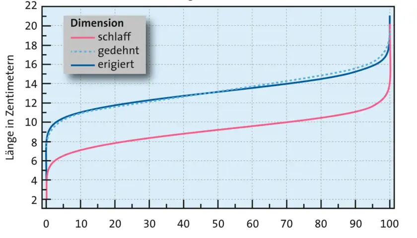 Diagramm zeigt Längenverhältnisse von Penissen in verschiedenen Zuständen (schlaff, gedehnt, erigiert) über Perzentile.