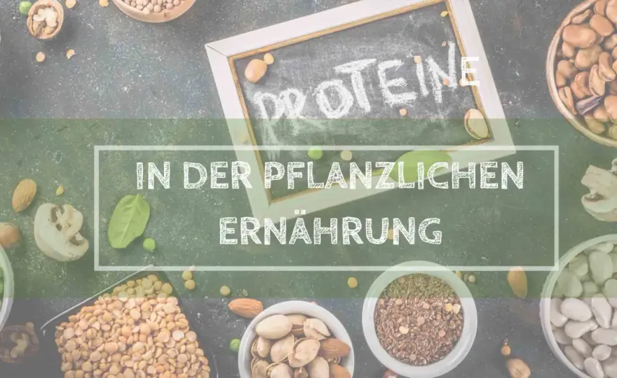 Eiweißreich vegetarisch - So deckst du deinen Proteinbedarf!