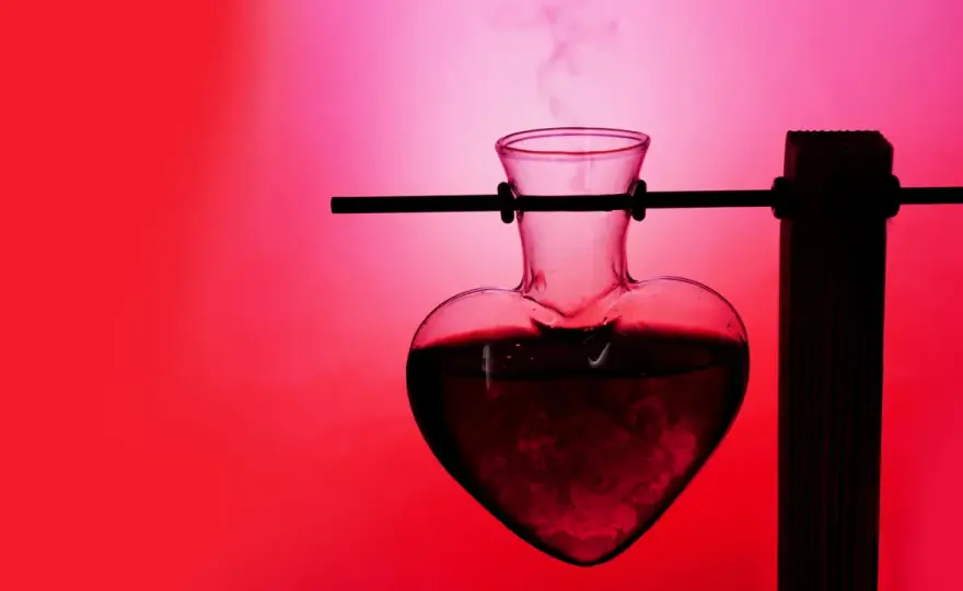 Aphrodisiaka - Was wirklich wirkt & wann der Arzt hilft