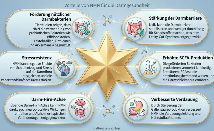 NMN Wirkung - Was Studien wirklich zeigen & für wen es sich lohnt