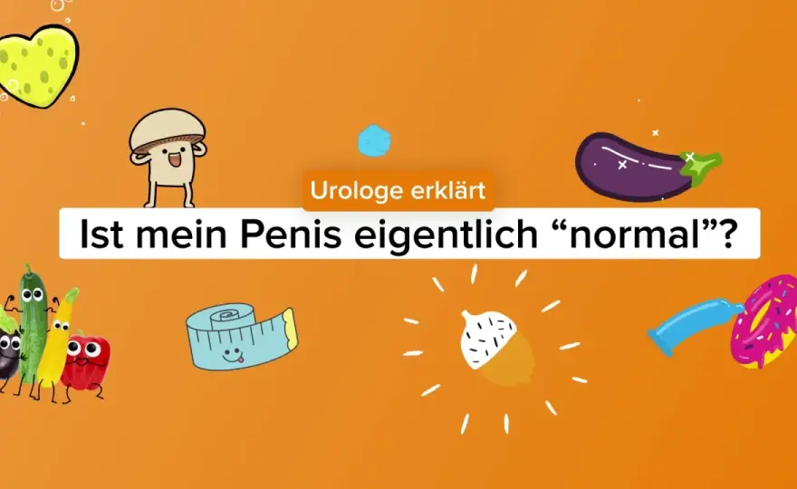 Penis beim Sex - Funktion, Potenz & Warnsignale verstehen