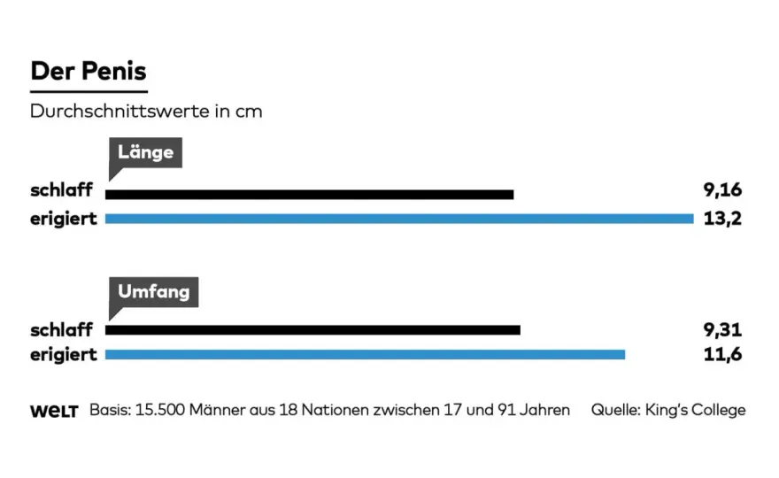 15 cm Penislänge - Ist das normal? Fakten & was wirklich zählt