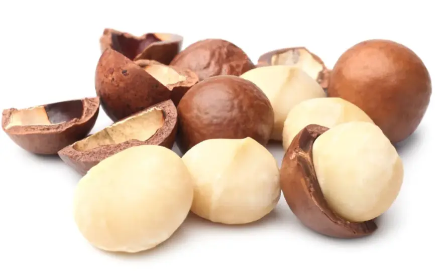 Macadamias - Gesund oder Kalorienfalle? Der Nährwert-Check