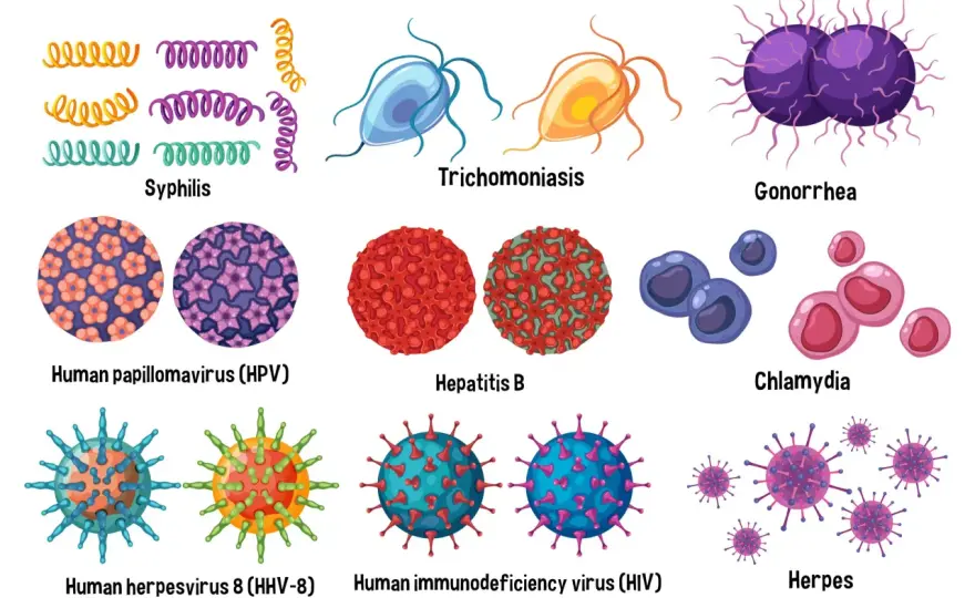 Nicht heilbare STI - Was tun? HIV, Herpes, HPV & Co. verstehen