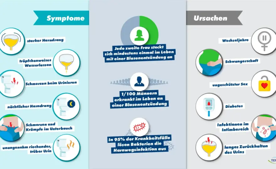 Schmerzen beim Pinkeln - Ursachen & wann zum Arzt?