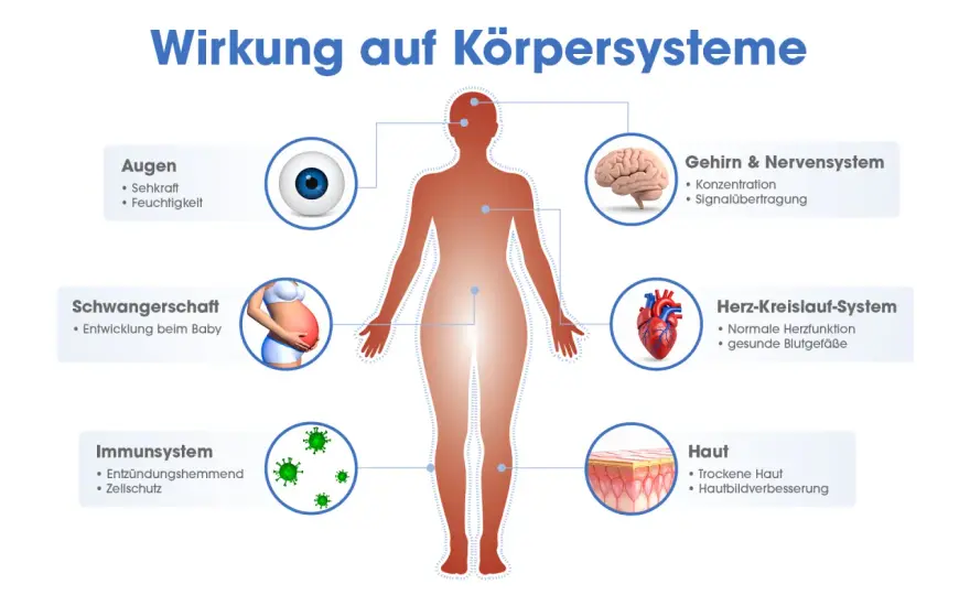 Omega-3 - Wirkung, Dosierung & Qualität: Was ist wirklich dran?
