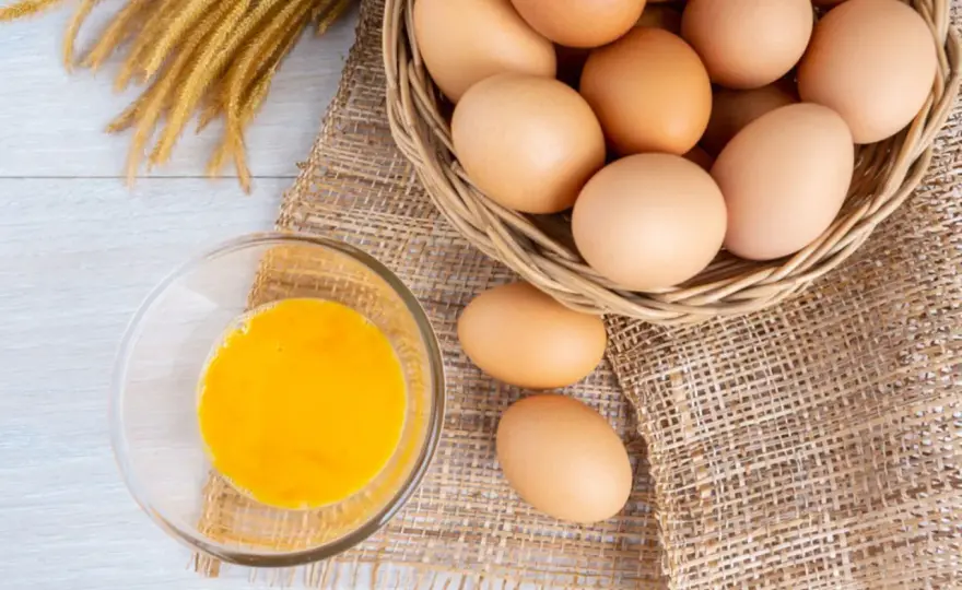 Vitamine im Ei - Was steckt wirklich drin?