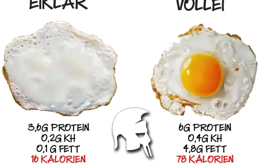 Rohe Eier essen - Risiko oder Vorteil? Die Wahrheit über Eier
