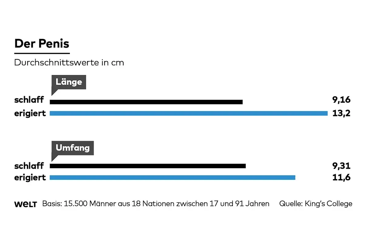Grafik zeigt Durchschnittswerte für Länge und Umfang des Penis. Ein kleiner steifer Penis hat im Durchschnitt eine Länge von 13,2 cm.