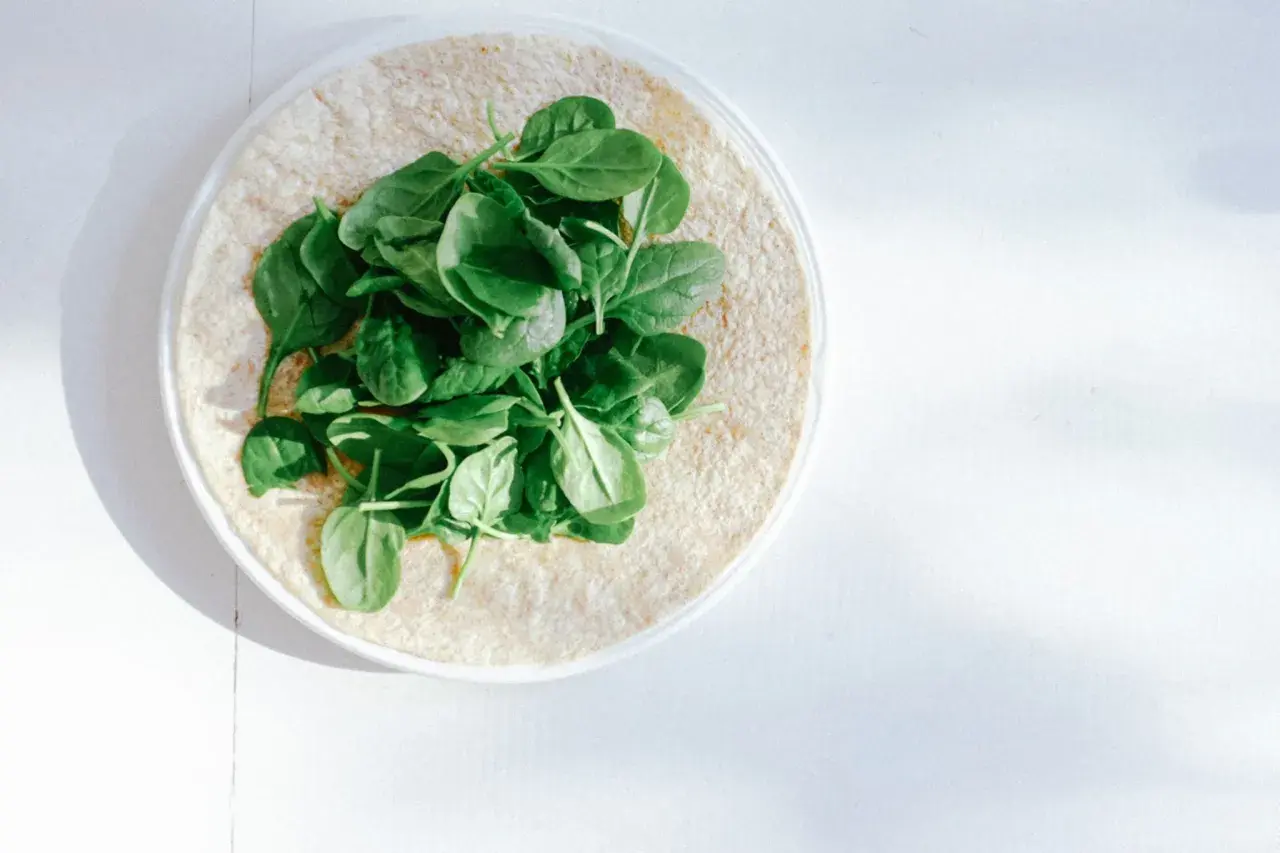 Frischer Spinat auf einem Tortilla-Wrap. Eine gesunde Mahlzeit, die viel Lutein liefert.