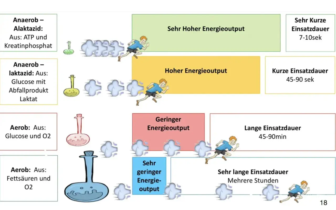 Vergleich von aerobem und anaerobem Stoffwechsel: Hoher Energieoutput kurz (anaerob), geringer Output lang (aerob).