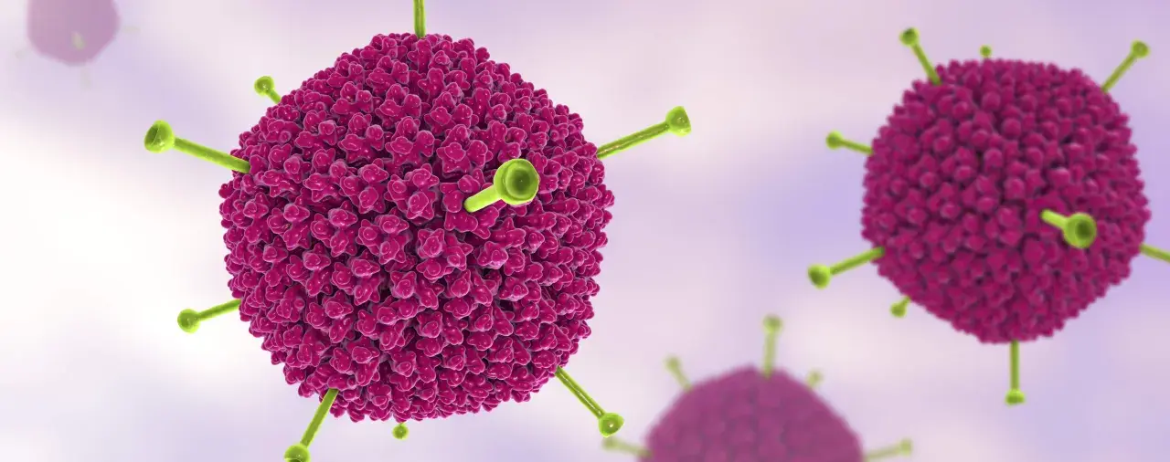 Nahaufnahme eines Adenovirus. Diese Viren können bei Erwachsenen verschiedene Symptome verursachen, wie z.B. Erkältungen oder Bindehautentzündungen.