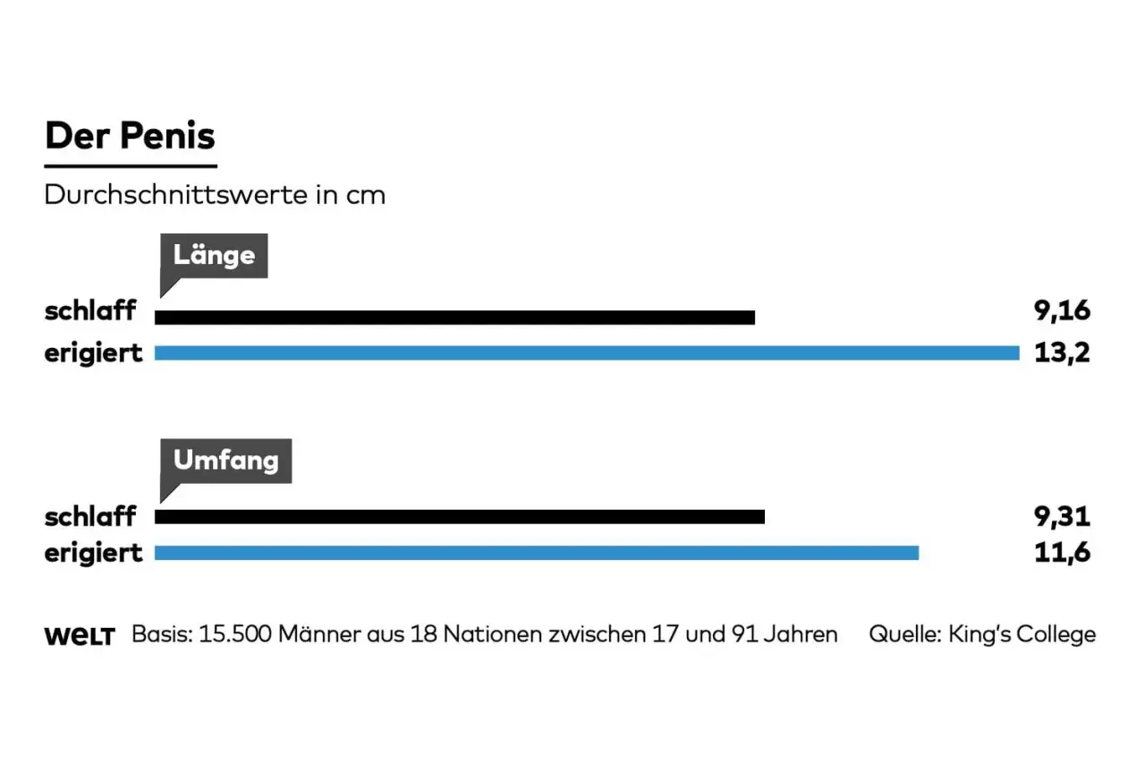 Durchschnittliche Penis-Länge: schlaff 9,16 cm, erigiert 13,2 cm. Umfang: schlaff 9,31 cm, erigiert 11,6 cm.