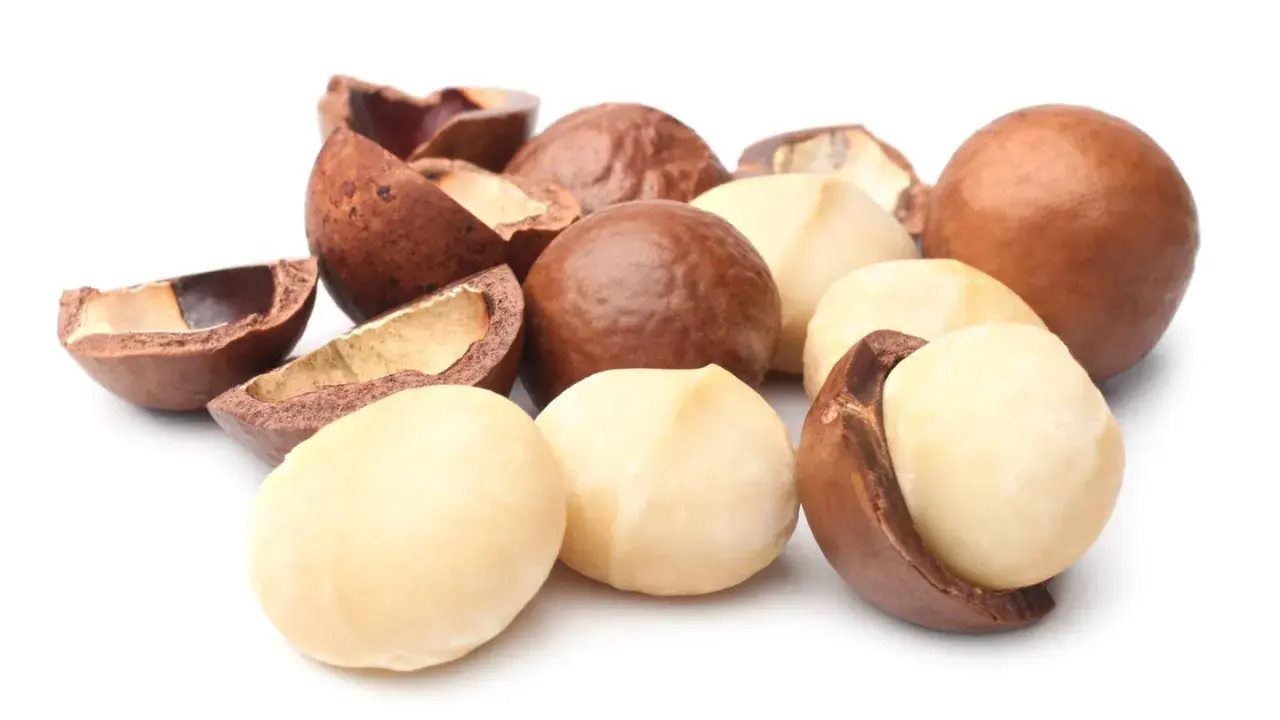 Macadamianüsse, frisch aus der Schale, sind ein Beweis dafür, wie macadamia gesund ist. Ihre cremige Textur und ihr nussiger Geschmack machen sie zu einem perfekten Snack.