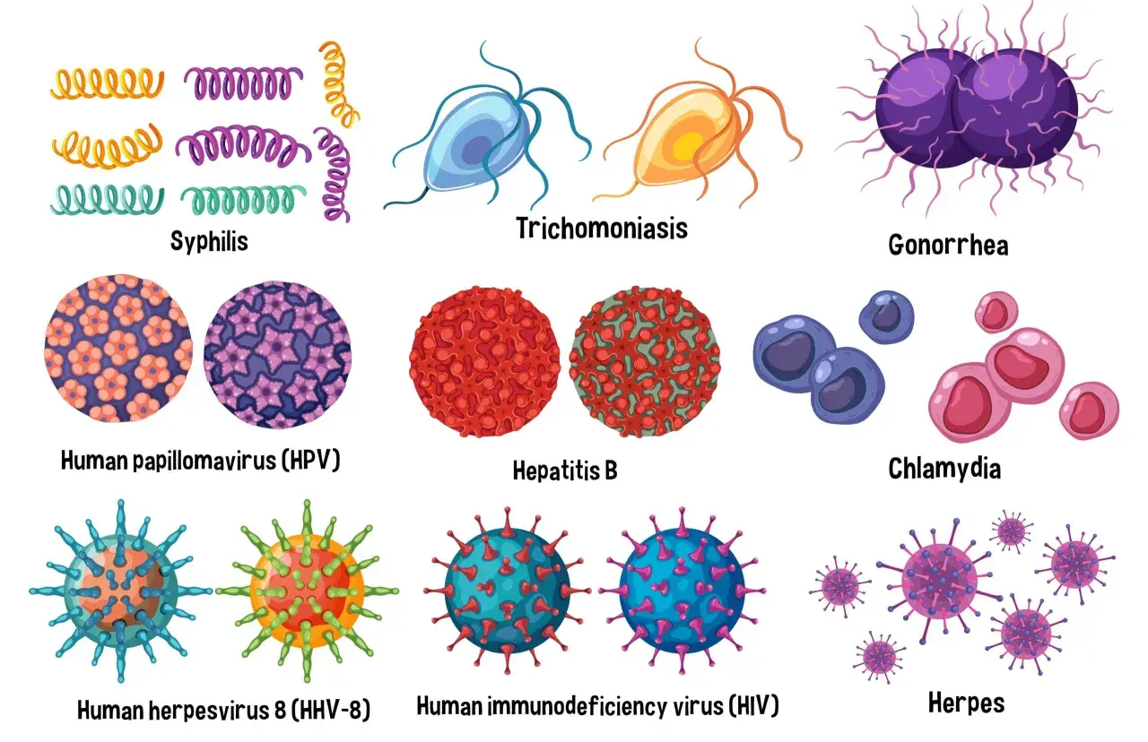 Abbildungen von Syphilis, Trichomoniasis, Gonorrhöe, HPV, Hepatitis B, Chlamydien, HHV-8, HIV und Herpes. Manche Geschlechtskrankheiten sind nicht heilbar.
